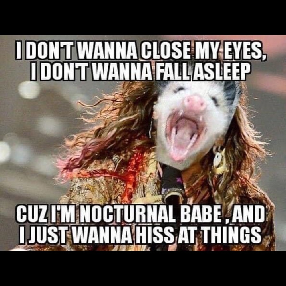 Meet your Posher, Gianna